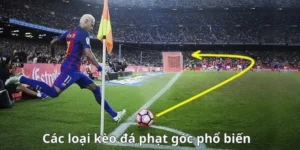 Cách Chơi Kèo Phạt Góc Bóng Đá Tại BongDaLu Chuẩn Xác