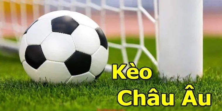 Cách Chơi Kèo Châu Âu Tại BongDaLu Hiệu Quả Thắng Lớn Mỗi Ngày