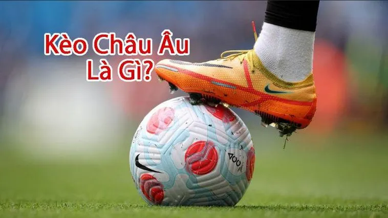Cách Chơi Kèo Châu Âu Tại BongDaLu Hiệu Quả Thắng Lớn Mỗi Ngày