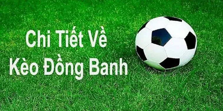 Cách Chơi Kèo Đồng Banh Tại BongDaLu Chi Tiết Nhất Dành Cho Tân Thủ
