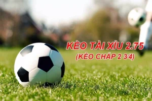 Kinh Nghiệm Đánh Kèo 2.75 Tại BongDaLu Chuẩn Xác Nhất