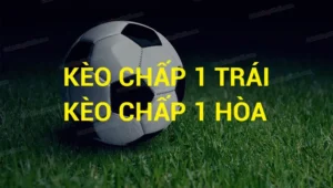 Cách Chơi Kèo Chấp 1 Tại BongDaLu Giúp Tăng Tỷ Lệ Thắng Cược