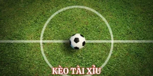 Cách Chơi Kèo Tài Xỉu Bóng Đá Tại BongDaLu Hiệu Quả Nhất