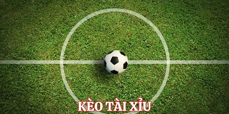 Cách Chơi Kèo Tài Xỉu Bóng Đá Tại BongDaLu Hiệu Quả Nhất