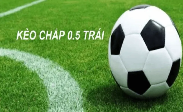 Chiến Thuật Cược Kèo Chấp 0.5 BongDaLu Đỉnh Cao Từ Cao Thủ